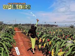 -硇洲岛旅游区