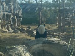 -武汉动物园