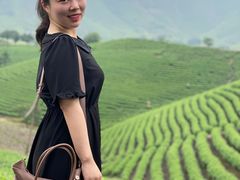 -帐篷客·溪龙茶谷度假酒店