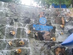 -青岛海底世界-水族馆