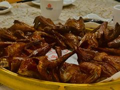 -百利鸽王(紫薇路店)