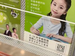 -编程猫·少儿编程(绿宝校区)