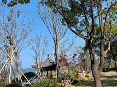 -东钱湖旅游度假区