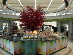 -阳光五洲大酒店·宴会厅