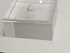 -亳州博物馆