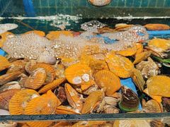 -曼格活海鲜·牛排自助(光明蓝鲸店)