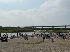 -绿堤公园