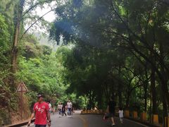 -大雁山风景区