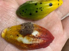 -巧克玩家·城市伴手礼(in88银泰店)