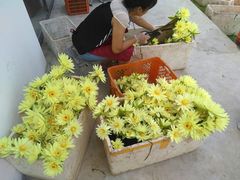 -长兴岛郊野公园农场食堂