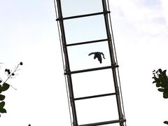 -武汉紫薇都市田园