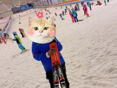 -绍兴启迪乔波冰雪世界