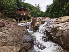 -广州白江湖森林公园