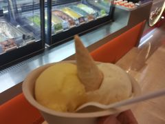 -极拉图·现制冰淇淋(大卫城店)