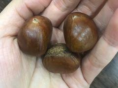 -陈记栗子(长宁路店)