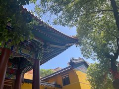 -宝通禅寺