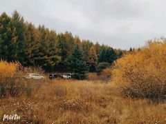 -塞罕坝国家级自然保护区