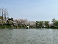 -自然谷恐龙园