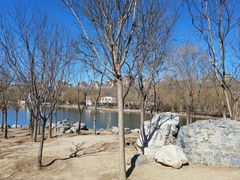 -马家湾湿地公园
