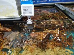 -盒马鲜生(皇庭广场店)