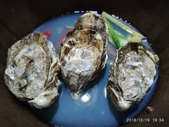 -九道菜有鸡鱼头(石鼓路店)
