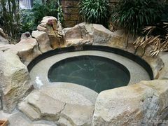 -悦隆庄温泉度假酒店