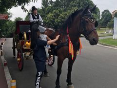 -成都蒲江花样年福朋喜来登度假酒店·宜客乐西餐厅