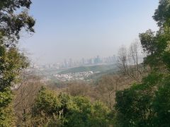 -岳麓山风景名胜区