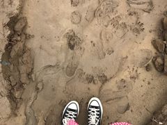 -黄桷坪涂鸦艺术街