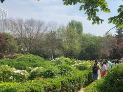 -西安青龙寺遗址景区