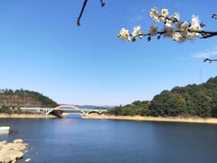 -广州市流溪河国家森林公园