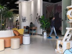 大堂-藏猫猫咖啡主题馆(中央大道店)