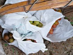 -马陆小张葡萄园农家乐