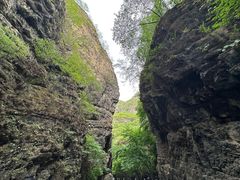 -野三坡百里峡景区
