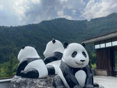 -卧龙中华大熊猫苑神树坪基地