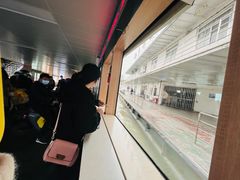 -武汉关码头(轮渡站)