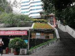 -成都市活水公园