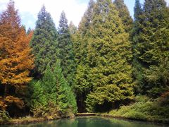 -山王坪喀斯特国家生态公园