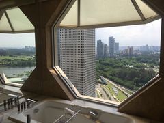 -新加坡丽思卡尔顿美年酒店