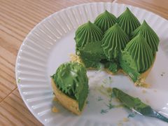 抹茶挞-猫里有甜