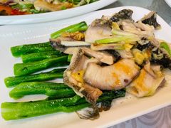 葱姜炒生鱼片-粤·向群饭店(龙津东路总店)