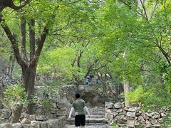 -北京鹫峰国家森林公园