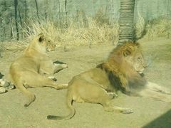 -北京野生动物园