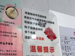 -老袁家蜜桃农场·阳山水蜜桃