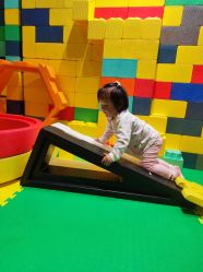 点击看大图 -宝燕乐园(闵行旗舰店)