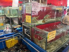 -大树下海鲜饭店