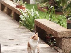 -厦门良筑精品酒店(厦门中山路店)