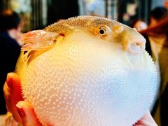 -永安鱼庄·镇江菜(东吴路店)