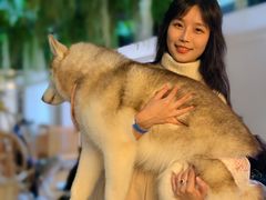 -Husky Go! 哈士奇体验馆·宠物咖啡厅狗咖