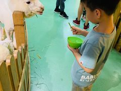 -藦茜花园宠物主题亲子互动体验馆(国顺东路店)
